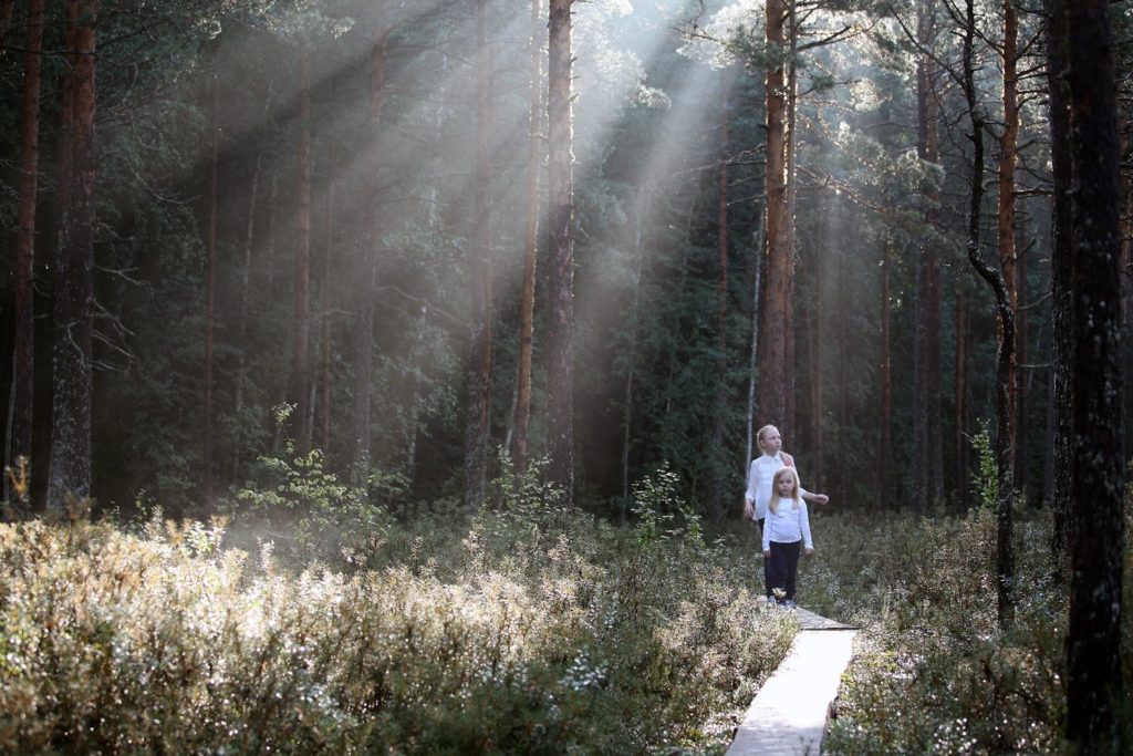 Kaksi ihmistä kulkee metsässä. Aurinko paistaa puiden välistä.